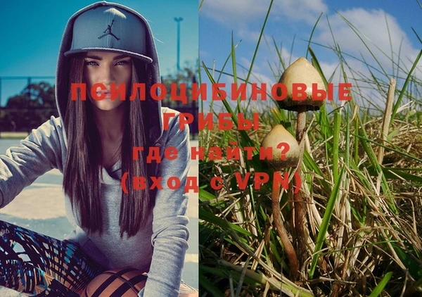 амф Строитель