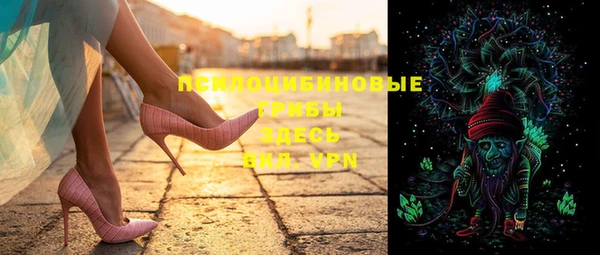 амф Строитель