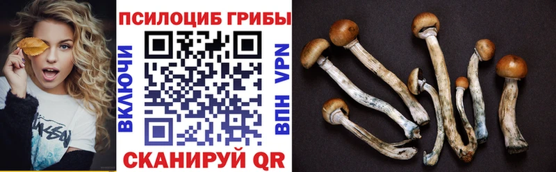 Псилоцибиновые грибы прущие грибы  Купить где  Хабаровск 